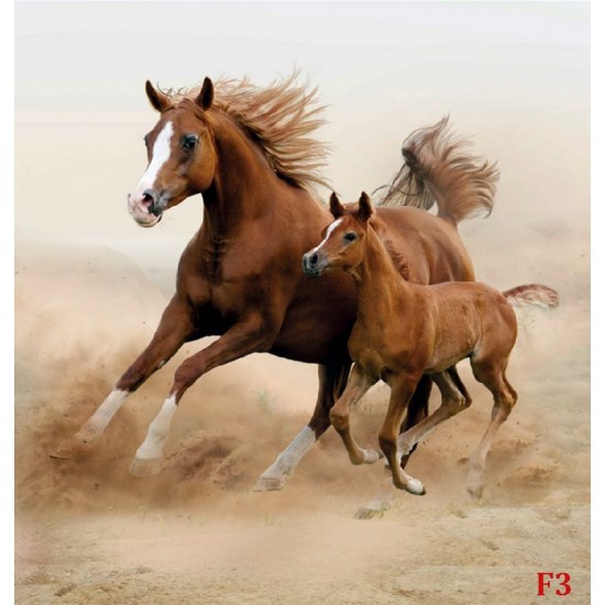 Wall mural brown horse with a little horsey Wall mural brown horse with a little horsey