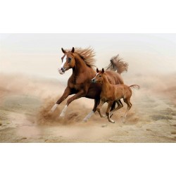 Wall mural brown horse with a little horsey Wall mural brown horse with a little horsey