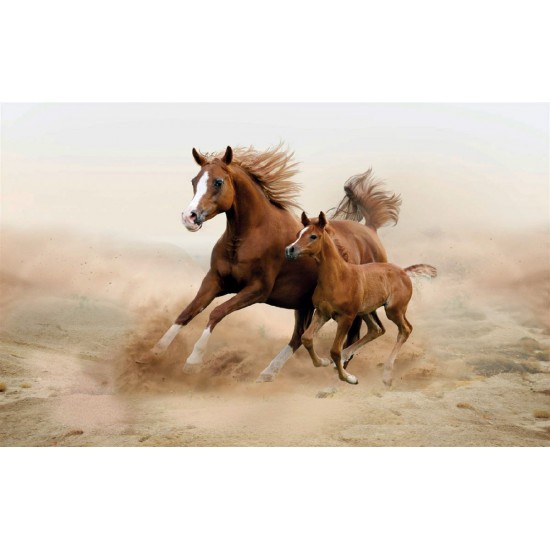 Wall mural brown horse with a little horsey Wall mural brown horse with a little horsey