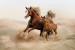 Wall mural brown horse with a little horsey