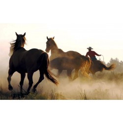 Wall mural with wild horses and a cowboy Wall mural with wild horses and a cowboy