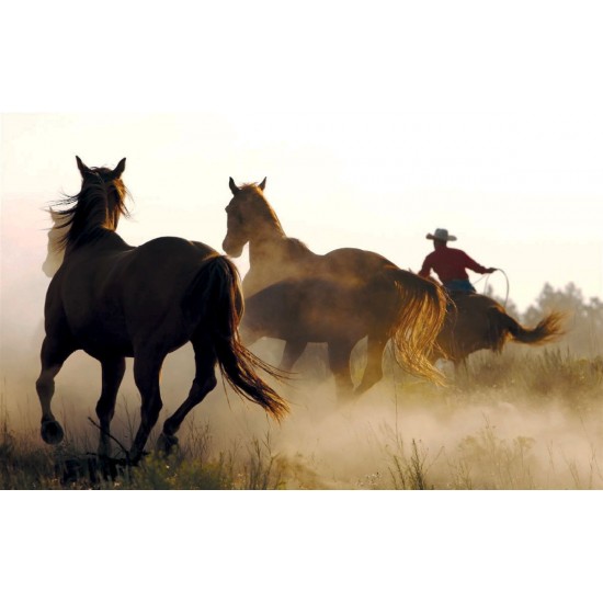 Wall mural with wild horses and a cowboy