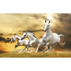 Wallpapers mural three beautiful horses on yellow background