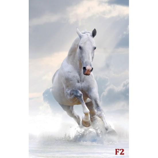 Wallpapers mural beautiful horse - vertical model