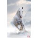 Wallpapers mural beautiful horse - vertical model