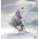 Wallpapers mural beautiful horse - vertical model