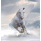 Wallpapers mural beautiful horse - vertical model