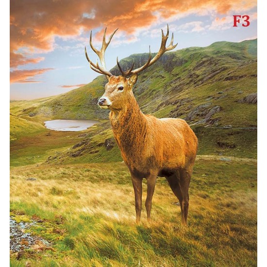 Wallpapers mountain view with a beautiful deer Wallpapers mountain view with a beautiful deer