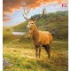 Wallpapers mountain view with a beautiful deer Wallpapers mountain view with a beautiful deer