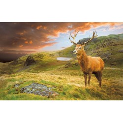 Wallpapers mountain view with a beautiful deer