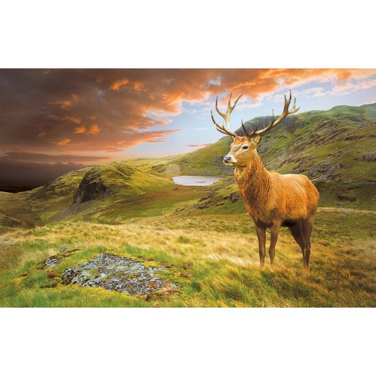 Wallpapers mountain view with a beautiful deer Wallpapers mountain view with a beautiful deer