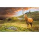 Wallpapers mountain view with a beautiful deer Wallpapers mountain view with a beautiful deer