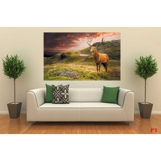 Wallpapers mountain view with a beautiful deer Wallpapers mountain view with a beautiful deer