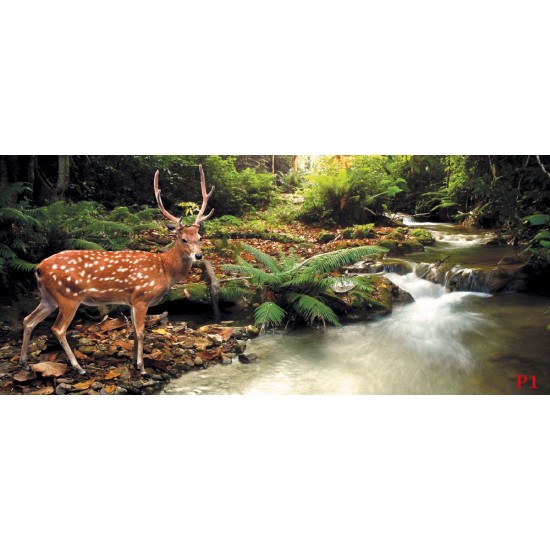 Wallpapers beautiful deer near the river