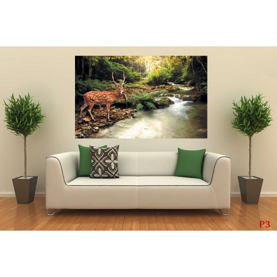 Wallpapers beautiful deer near the river