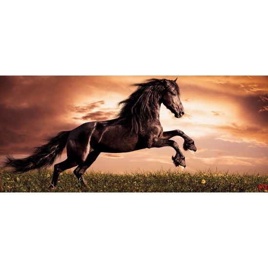 Wall mural with a elegant dark horse on a field