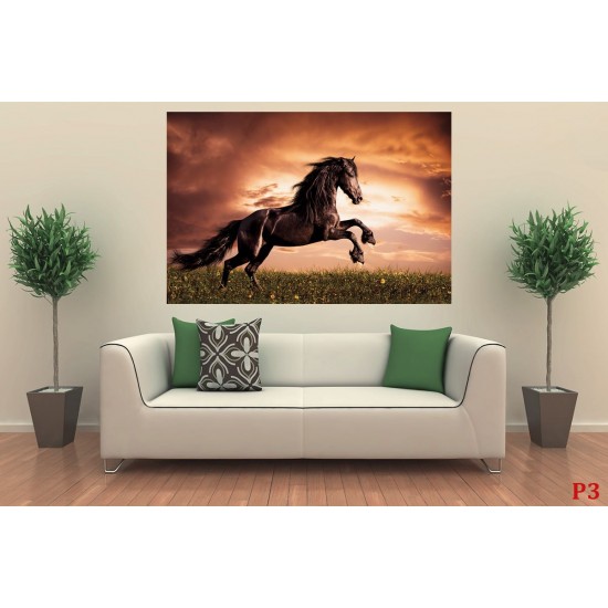 Wall mural with a elegant dark horse on a field