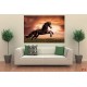 Wall mural with a elegant dark horse on a field