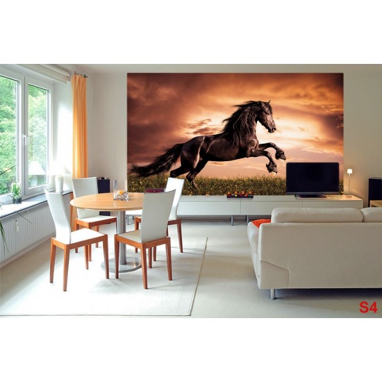 Wall mural with a elegant dark horse on a field