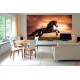 Wall mural with a elegant dark horse on a field