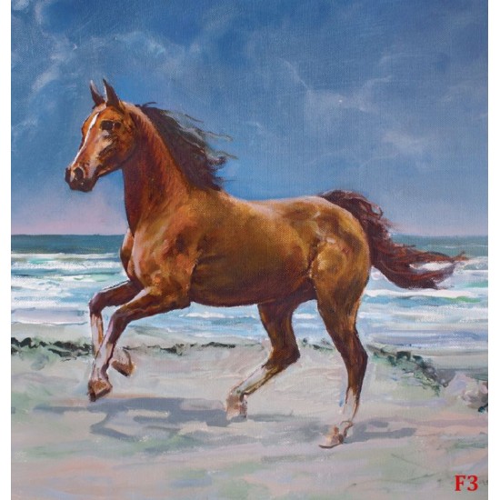 Wallpapers mural painted horse on a sea shore picture 
