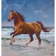 Wallpapers mural painted horse on a sea shore picture 