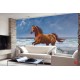 Wallpapers mural painted horse on a sea shore picture 