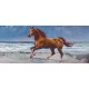 Wallpapers mural painted horse on a sea shore picture 