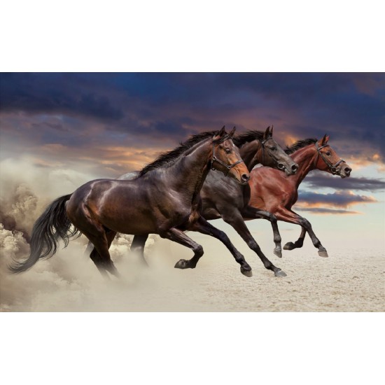 Wallpapers mural three galloping horses