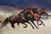 Wallpapers mural three galloping horses