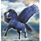 Wall mural fantastic horse Pegasus blue