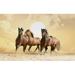 Wall mural brown horses on sunset background in 2 colors 