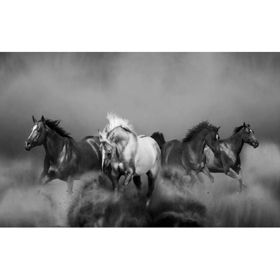 Wall mural beautiful horses in gallop in 2 colors Wall mural beautiful horses in gallop in 2 colors