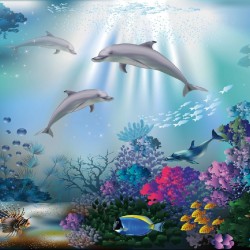 Wallpapers mural sea bottom with dolphins 
