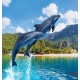 Photo mural jumping dolphins amid mountain views Photo mural jumping dolphins amid mountain views