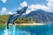 Photo mural jumping dolphins amid mountain views