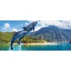Photo mural jumping dolphins amid mountain views Photo mural jumping dolphins amid mountain views