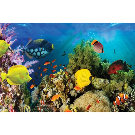 Wall mural water bottom fish