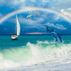 Wall mural sea waves and leaping dolphins with a rainbow background