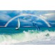 Wall mural sea waves and leaping dolphins with a rainbow background