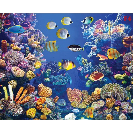 Wall mural sea bottom with many fish and coral
