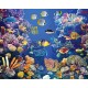 Wall mural sea bottom with many fish and coral