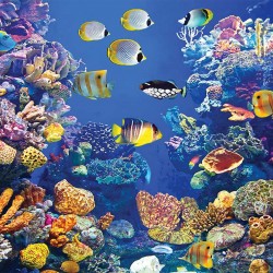 Wall mural sea bottom with many fish and coral