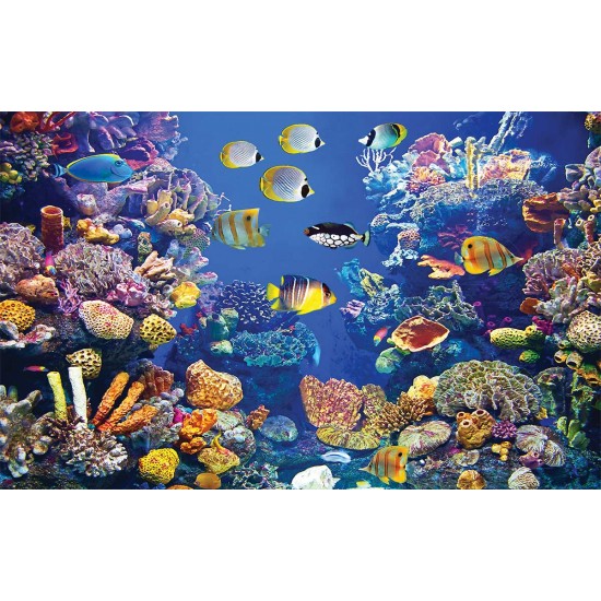 Wall mural sea bottom with many fish and coral