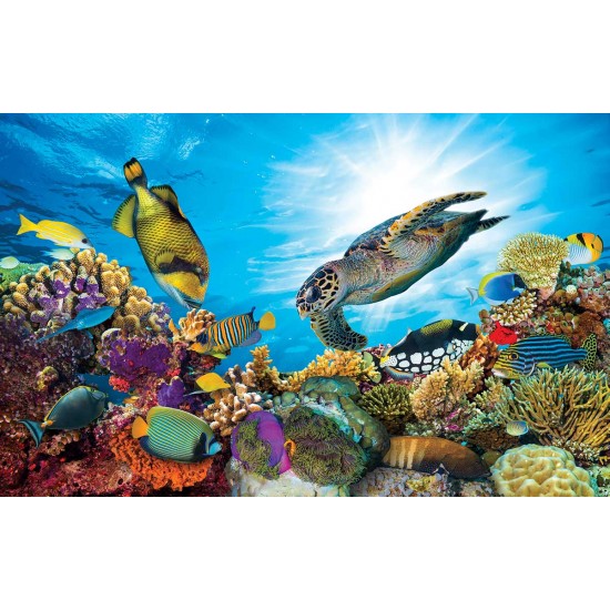Wall mural sea bottom with many fish and a large turtle