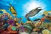 Wall mural sea bottom with many fish and a large turtle