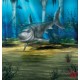 Photo mural shark in the sea bottom