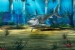 Photo mural shark in the sea bottom