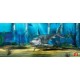 Photo mural shark in the sea bottom