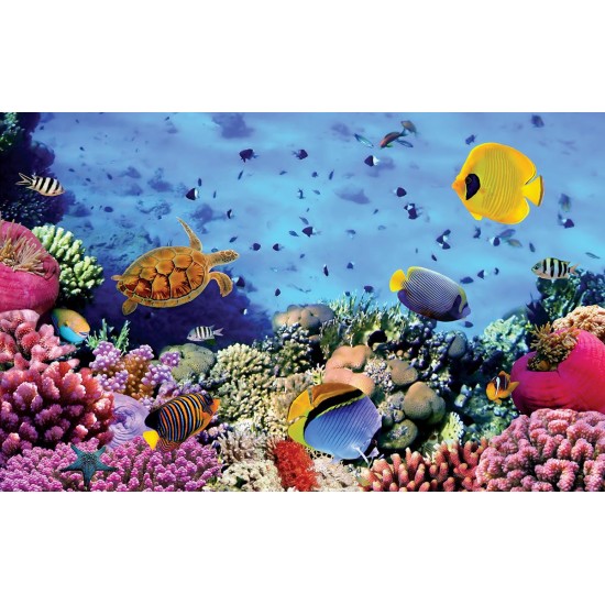 Wallpapers mural sea bottom with many fishes 3d effect Wallpapers mural sea bottom with many fishes 3d effect